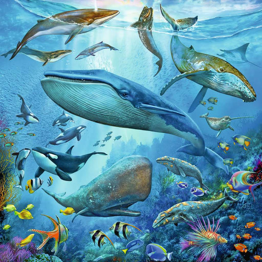 Ocean Life 3 x 49 Piece Jigsaw Puzzle by Ravensburger - 4