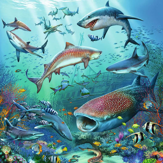 Ocean Life 3 x 49 Piece Jigsaw Puzzle by Ravensburger - 3