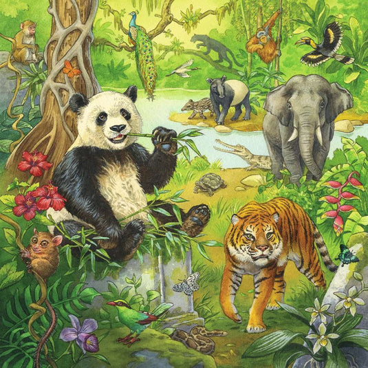 Jungle Fun 3 x 49 Piece Jigsaw Puzzle by Ravensburger - 3