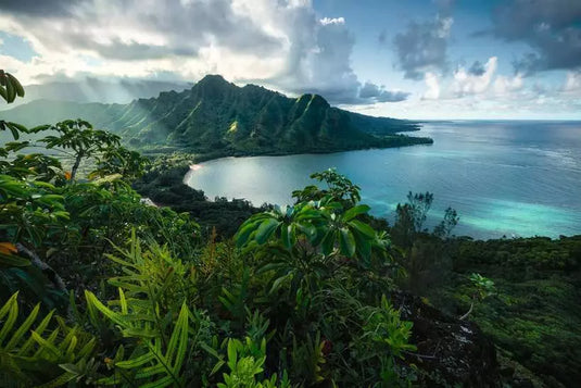 Hawaiian Viewpoint 5000 Piece Jigsaw Puzzle by Ravensburger - 2