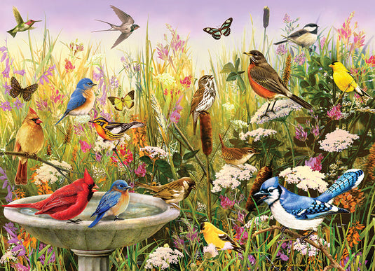 Feathered Friends 1000 Piece Jigsaw Puzzle by Cobble Hill - 2