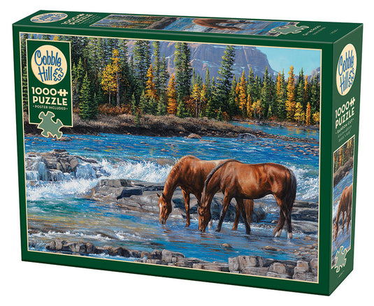 On the Rocks 1000 Piece Jigsaw Puzzle by Cobble Hill - 1