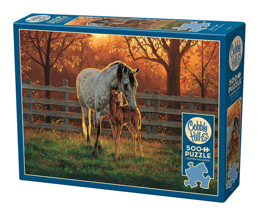Quiet Time 500 Piece Jigsaw Puzzle by Cobble Hill - 1