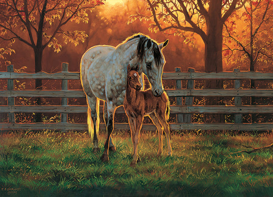 Quiet Time 500 Piece Jigsaw Puzzle by Cobble Hill - 2