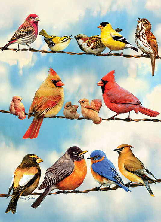 Birds on a Wire 500 Piece Jigsaw Puzzle by Cobble Hill