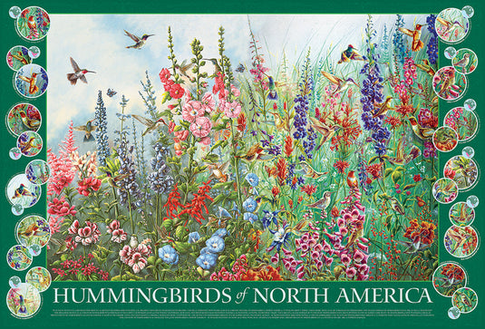 Hummingbirds of North America 2000 Piece Jigsaw Puzzle by Cobble Hill - 2