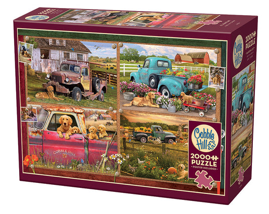 It's a Dog's Life 2000 Piece Jigsaw Puzzle by Cobble Hill - 1