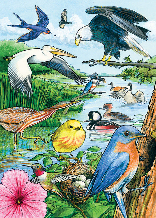 North American Birds 35 Piece Tray Jigsaw Puzzle by Cobble Hill - 1