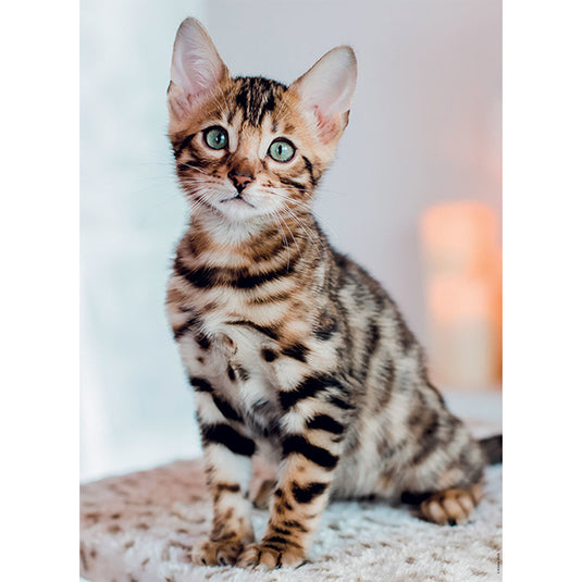 Chaton Bengal 500 Piece Jigsaw Puzzle by Nathan - 2