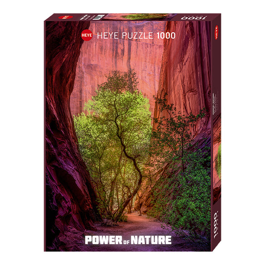Power of Nature: Singing Canyon 1000 Piece Jigsaw Puzzle by Heye - 1