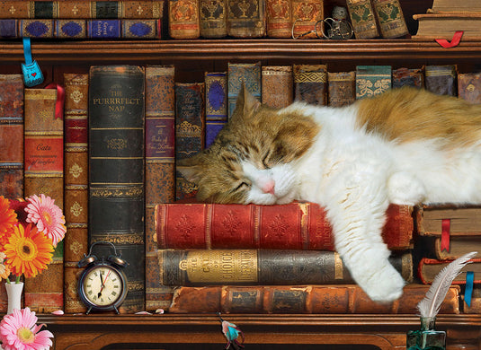 The Cat Nap 500 Piece Jigsaw Puzzle by Eurographics - 2