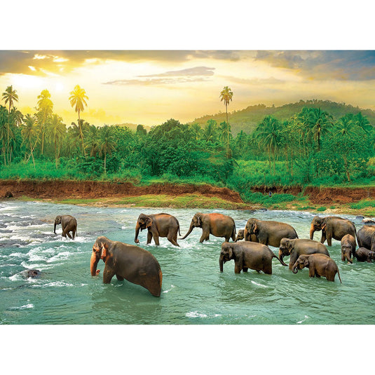 Rainforest 1000 Piece Jigsaw Puzzle by Eurographics - 2