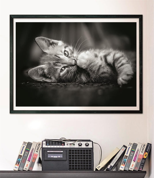 Kitty 1000 Piece Jigsaw Puzzle by Clementoni Puzzles - 4