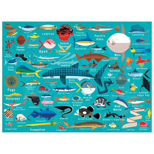 Ocean Life 1000 Piece Family Puzzle by Galison - 2