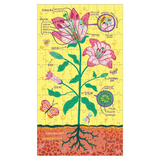 Plant Anatomy Science Puzzle Set by Galison - 3