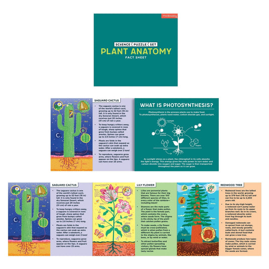 Plant Anatomy Science Puzzle Set by Galison - 6