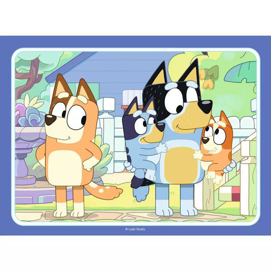 Bluey - 5