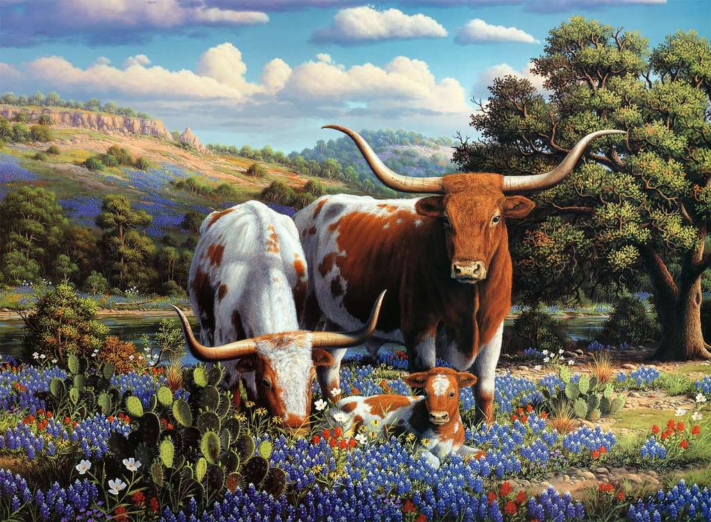 Longhorns 500 Piece Jigsaw Puzzle by Ravensburger