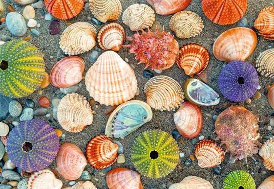 Puzzle Moments: By the Seashore 300 Piece Puzzle by Ravensburger - 2