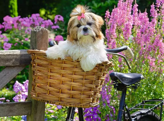 Sweet Little Dog 100 Piece Jigsaw Puzzle by Ravensburger