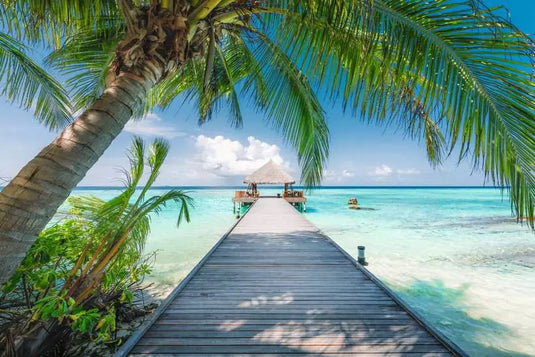 Dream Beach on the Maledives 4000 Piece Jigsaw Puzzle by Ravensburger