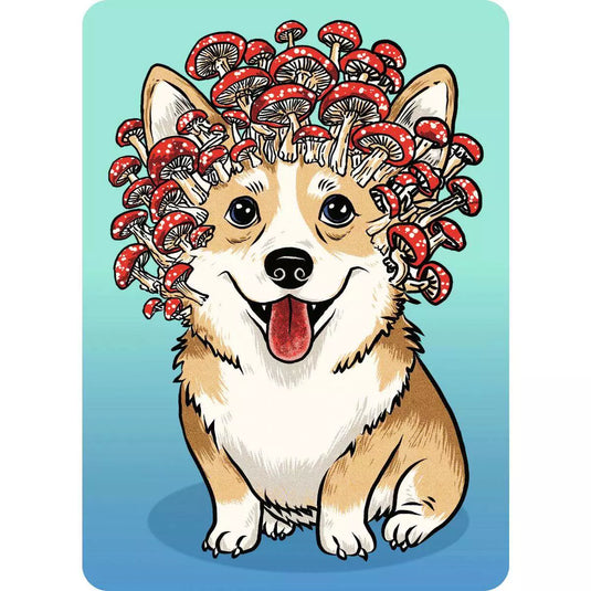Corgyceps 100 Piece Jigsaw Puzzle by Ravensburger