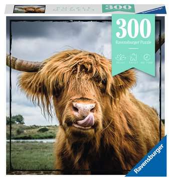 Puzzle Moments: Highland Cattle 300 Piece Jigsaw Puzzle by Ravensburger