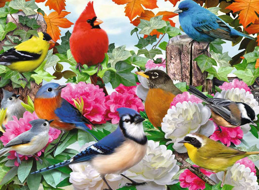 Garden Birds 500 Piece Jigsaw Puzzle by Ravensburger - 1