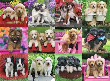 Puppy Pals 500 Piece Jigsaw Puzzle by Ravensburger