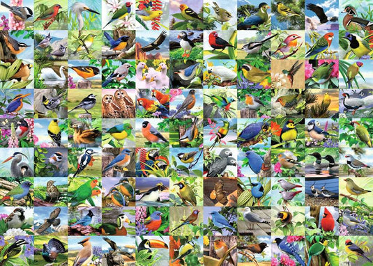 99 Delightful Birds 300 Piece Large Format by Ravensburger - 2
