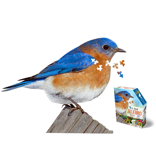 I Am Bluebird 300 Piece Puzzle by Madd Capp Main Puzzle