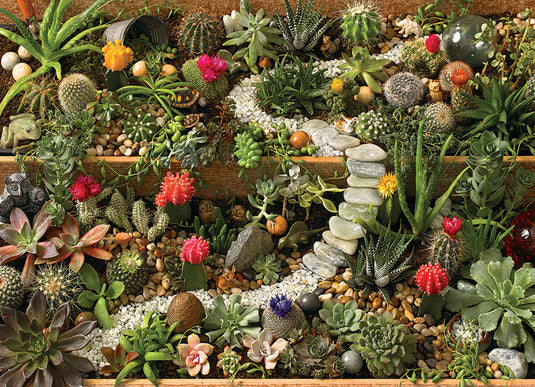 Succulent Garden 1000 Piece Jigsaw Puzzle by Cobble Hill - 2