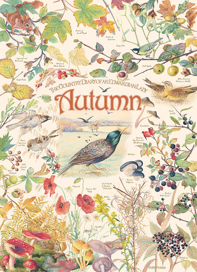 Country Diary: Autumn 1000 Piece Jigsaw Puzzle by Cobble Hill