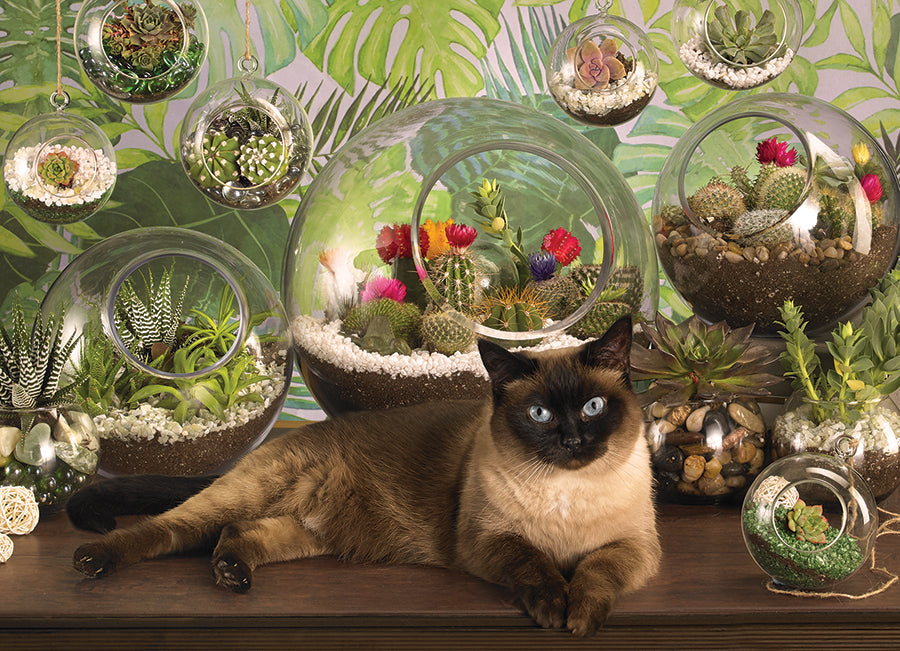 Terrarium Cat 1000 Piece Jigsaw Puzzle by Cobble Hill
