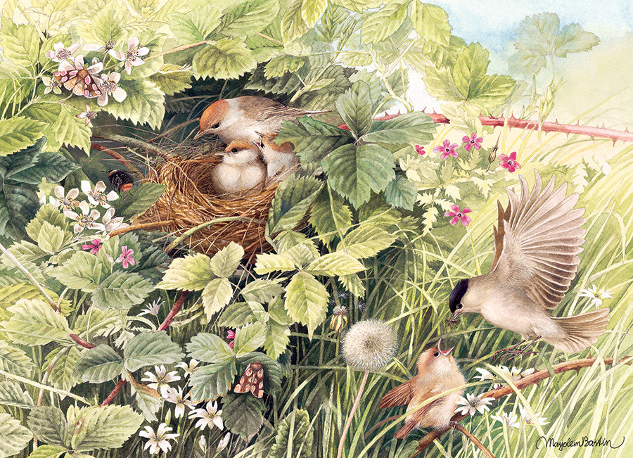 Hidden Nest 1000 Piece Jigsaw Puzzle by Cobble Hill