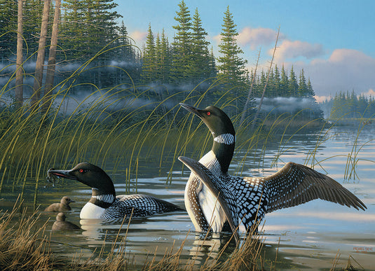 Common Loons 1000 Piece Jigsaw Puzzle by Cobble Hill - 2