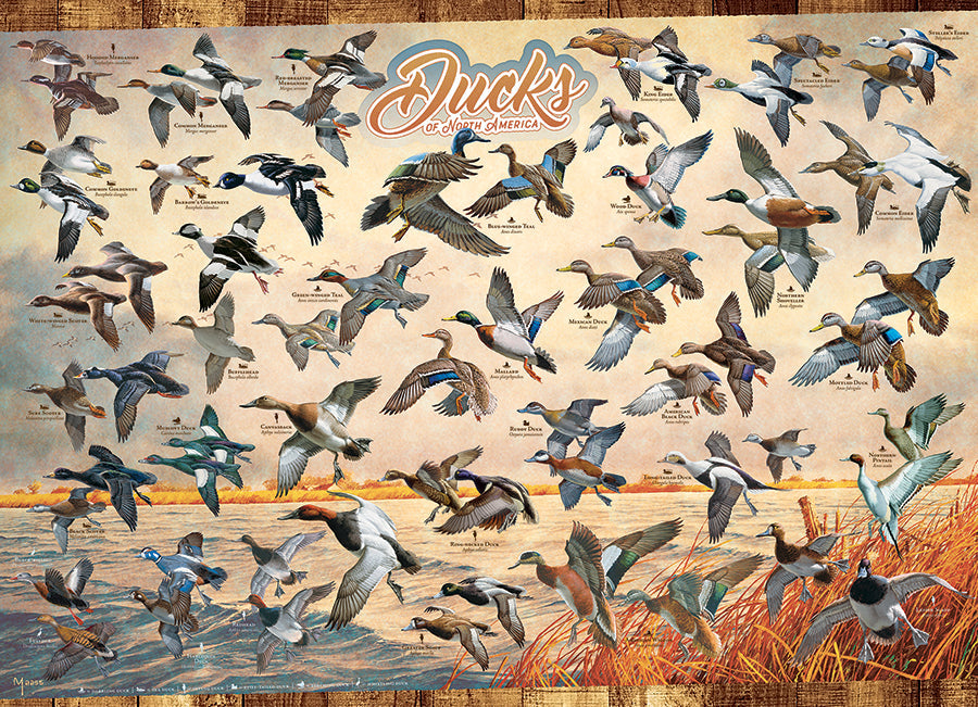 Ducks of North America 1000 Piece Jigsaw Puzzle by Cobble Hill
