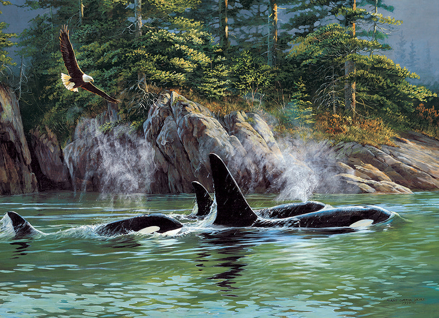 Orcas 1000 Piece Jigsaw Puzzle by Cobble Hill