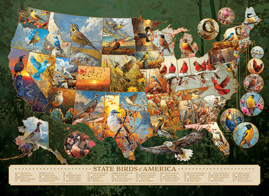 State Birds of America 1000 Piece Jigsaw Puzzle by Cobble Hill - 2