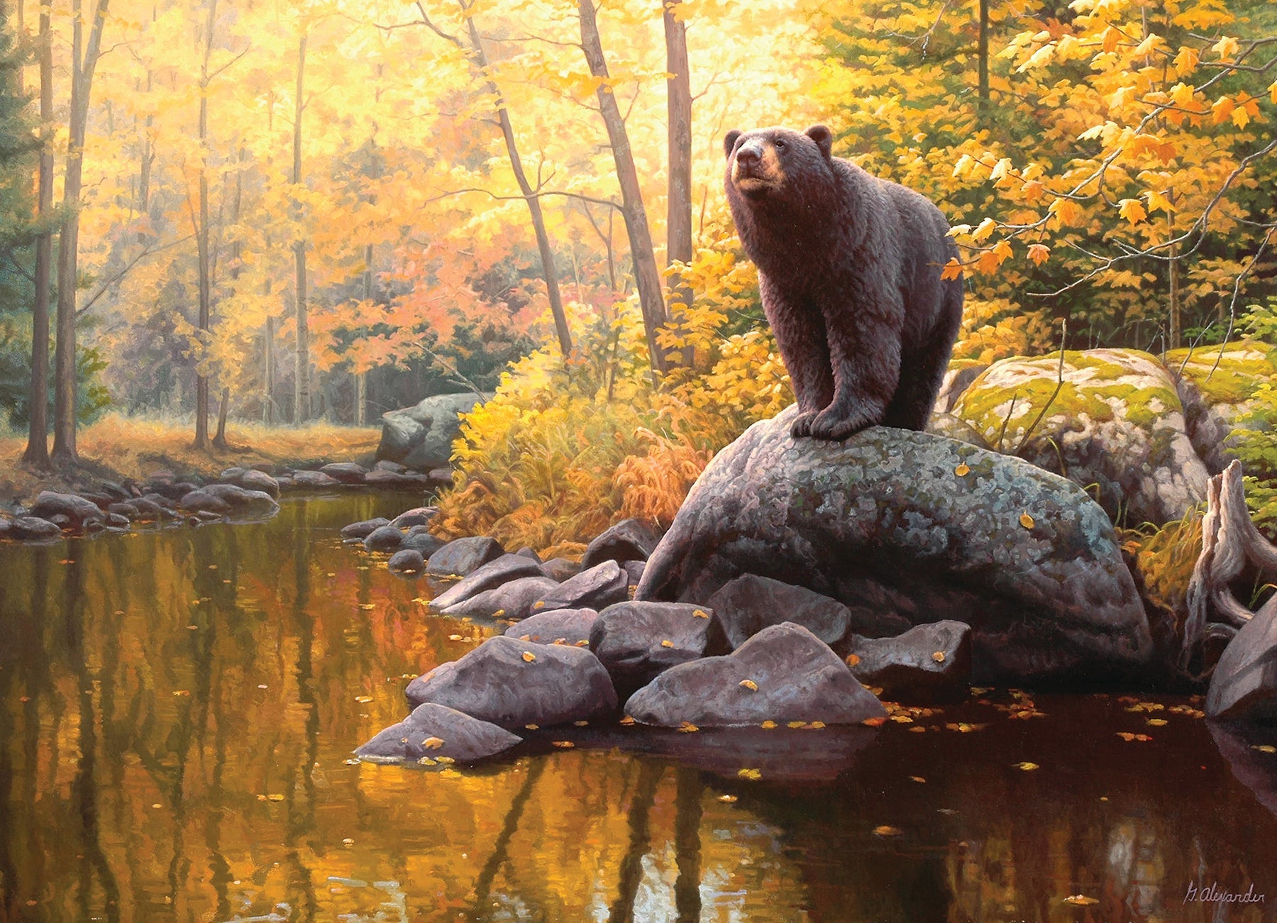 Black Bear Pond 1000 Piece Jigsaw Puzzle by Cobble Hill