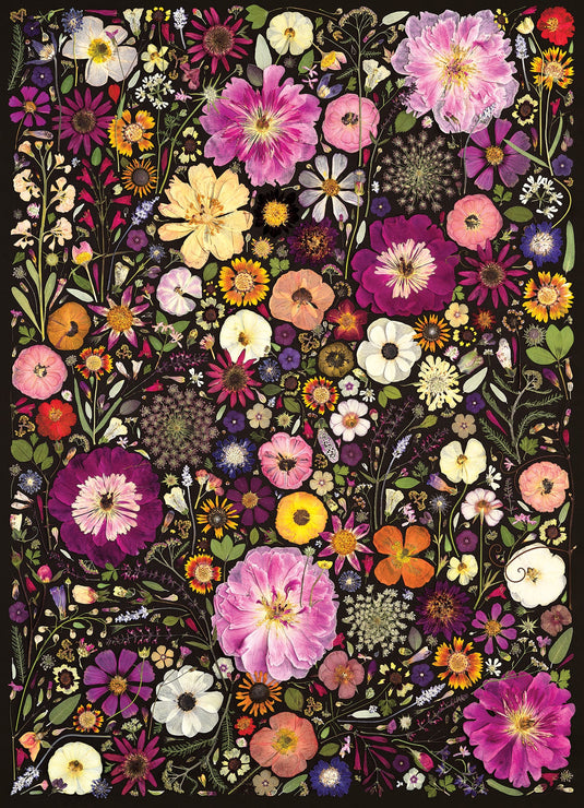 Flower Press: Little Hollow & Red Daisy 500 Piece Jigsaw Puzzle by Cobble Hill - 2