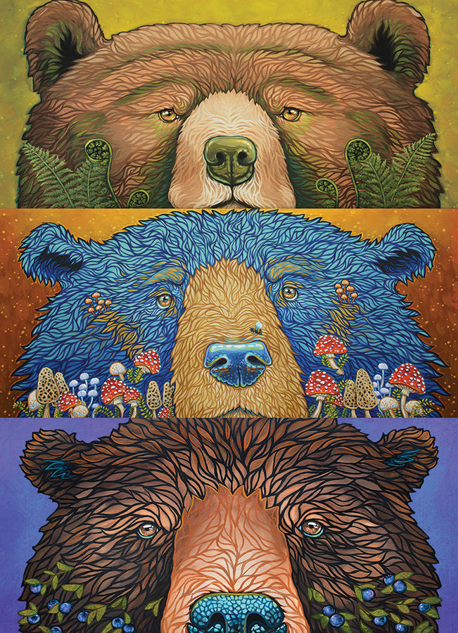 Bear Eyes: Harvest 500 Piece Jigsaw Puzzle by Cobble Hill