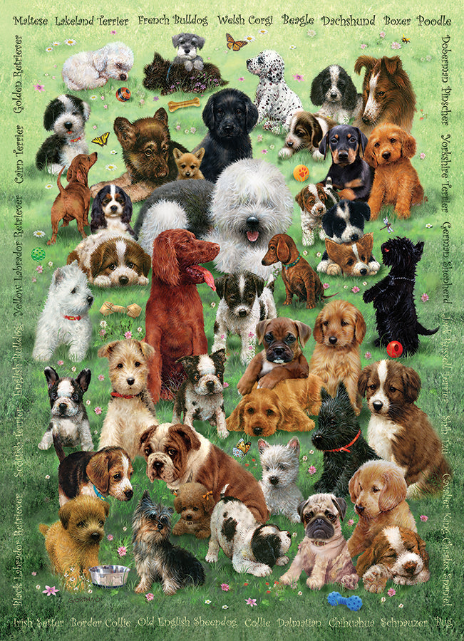 Puppy Love 350 (Family) Piece Jigsaw Puzzle by Cobble Hill