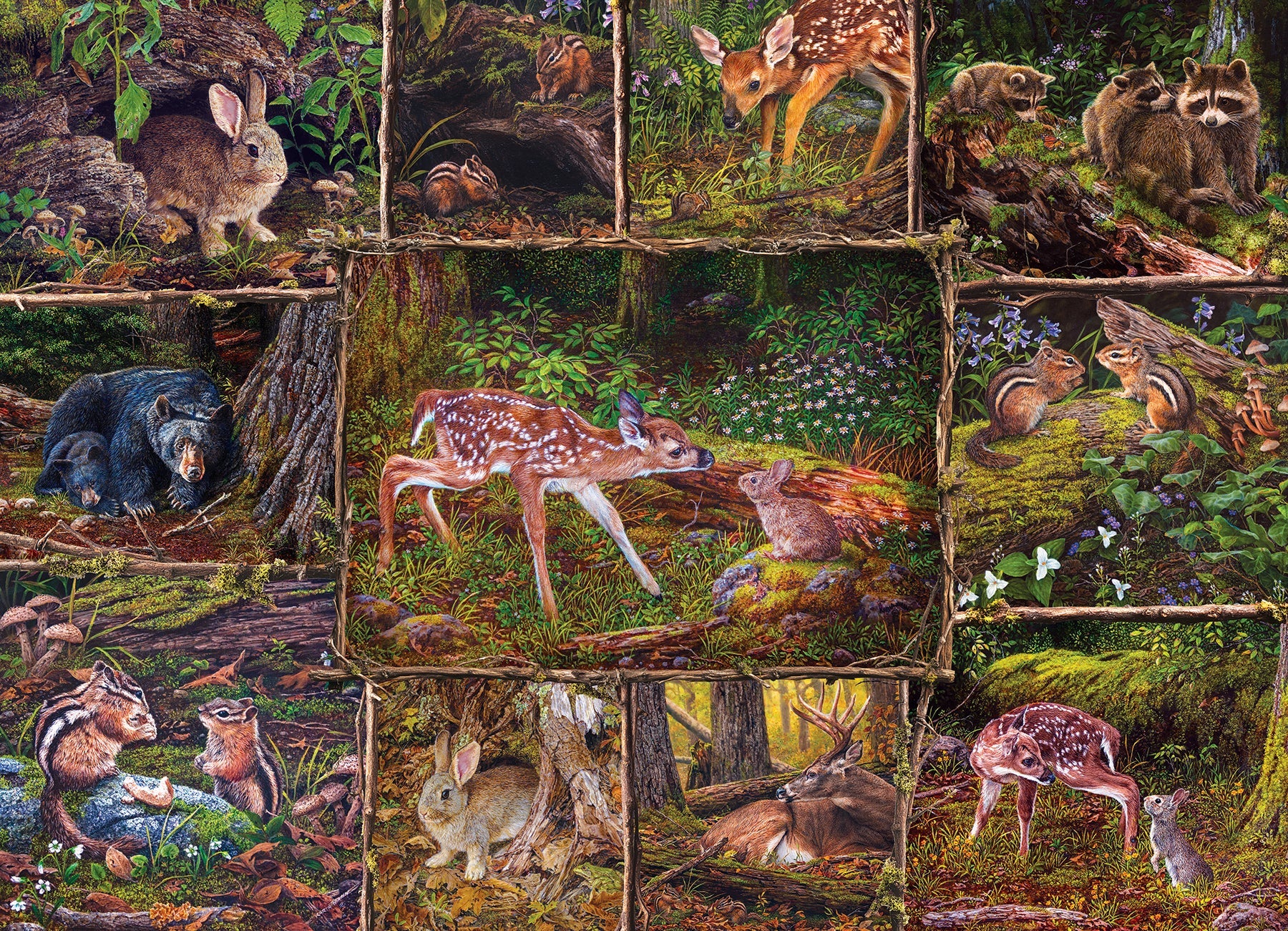 Into the Woods (Family) 350 Piece Jigsaw Puzzle by Cobble Hill