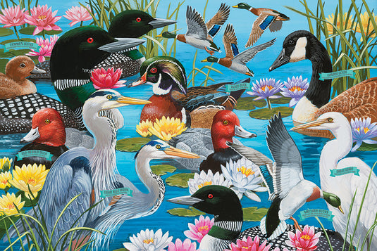 Water Birds 36 Piece Floor Jigsaw Puzzle by Cobble Hill - 2