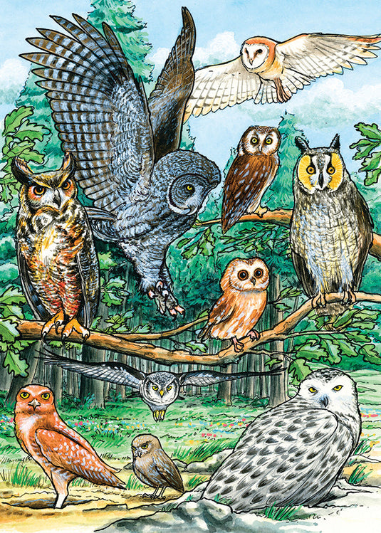 North American Owls 35 Piece Tray Jigsaw Puzzle by Cobble Hill - 1