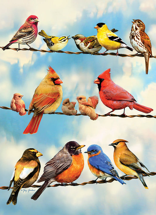 Blue Sky Birds 35 Piece Tray Jigsaw Puzzle by Cobble Hill - 1