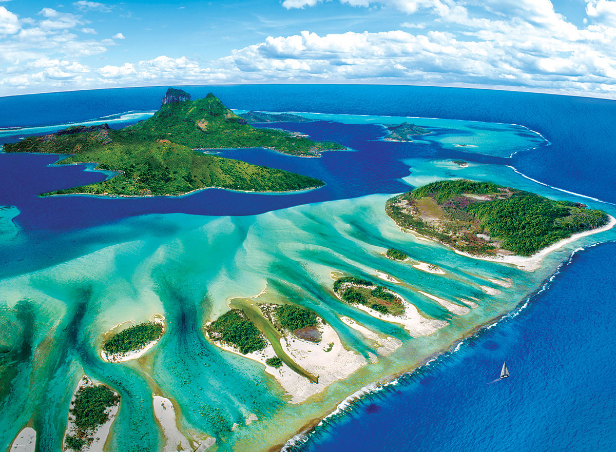 Coral Reef 1000 Piece Jigsaw Puzzle by Eurographics