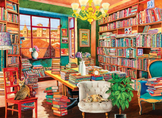 The Old Library 1000 Piece Jigsaw Puzzle by Eurographics - 2