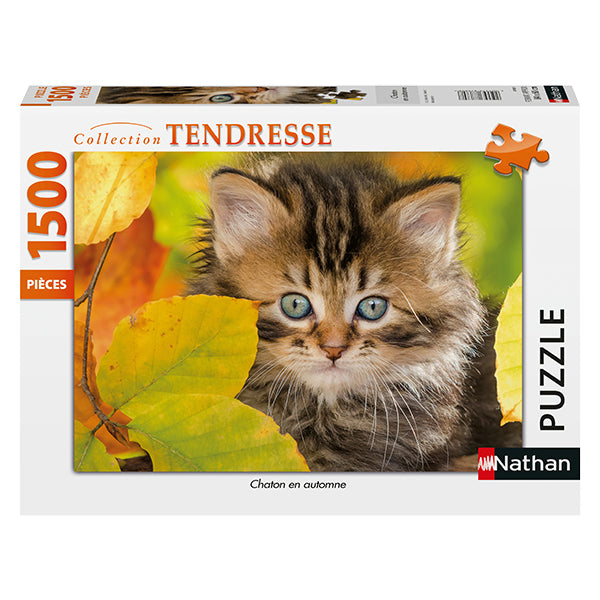 Kitten in Autumn 1500 Piece Jigsaw Puzzle by Nathan